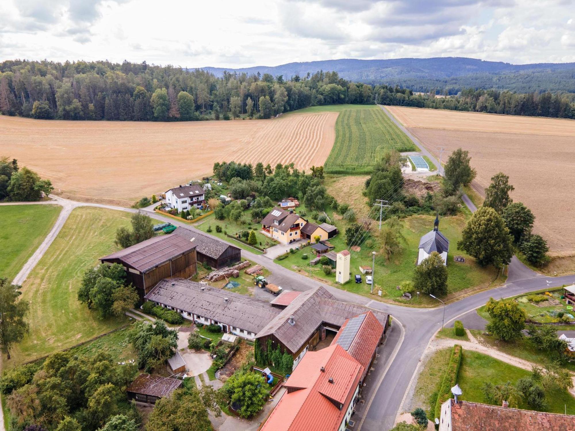 Ferienwohnung Baecher Wiesau Zewnętrze zdjęcie